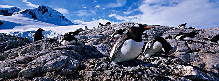 《堕落之主》开局13分钟演示 10月13日推出